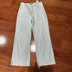 Abercrombie and fitch pinstripe wide leg pants size 27 button fly raw hem